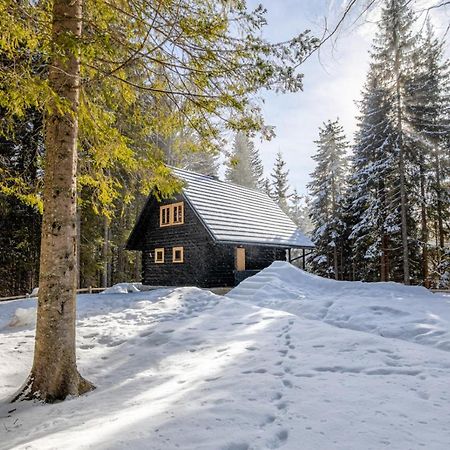 Cosy Lodge Pokljuka Горельек Экстерьер фото