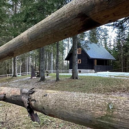 Cosy Lodge Pokljuka Горельек Экстерьер фото