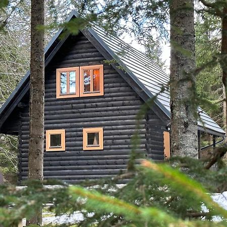 Cosy Lodge Pokljuka Горельек Экстерьер фото