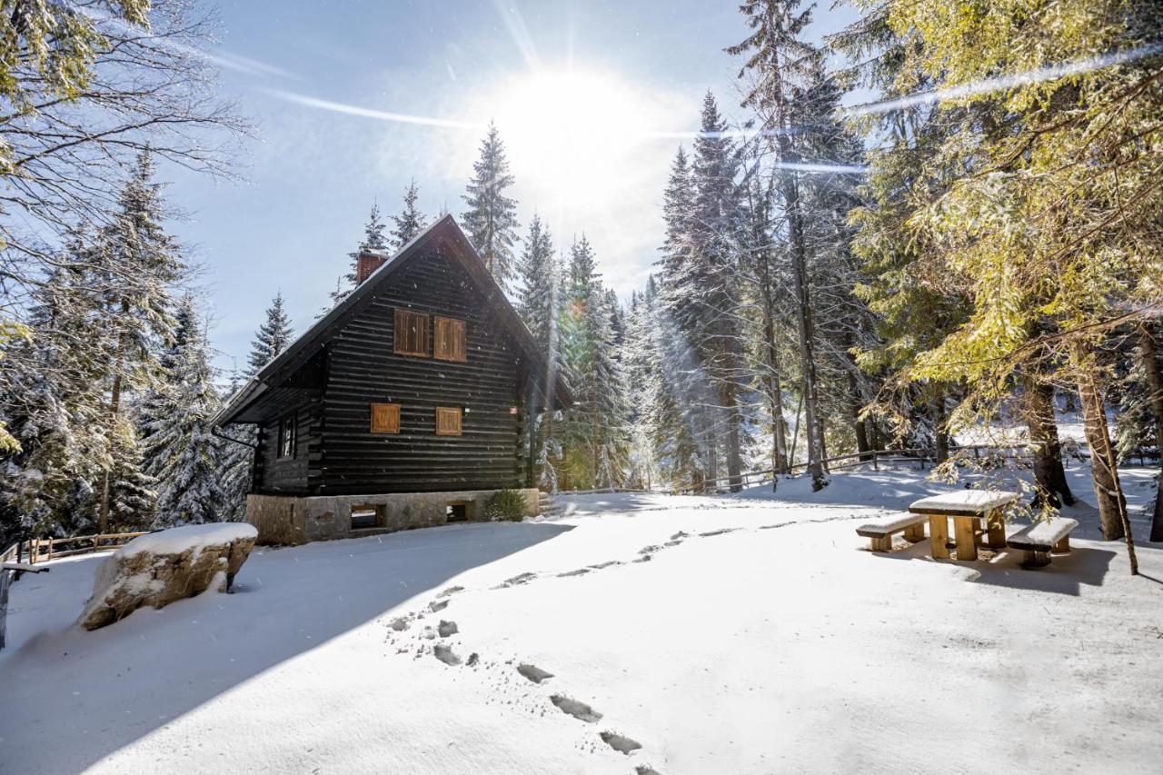 Cosy Lodge Pokljuka Горельек Экстерьер фото