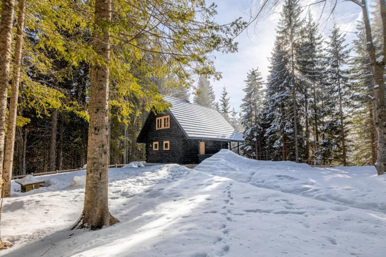 Cosy Lodge Pokljuka Горельек Экстерьер фото