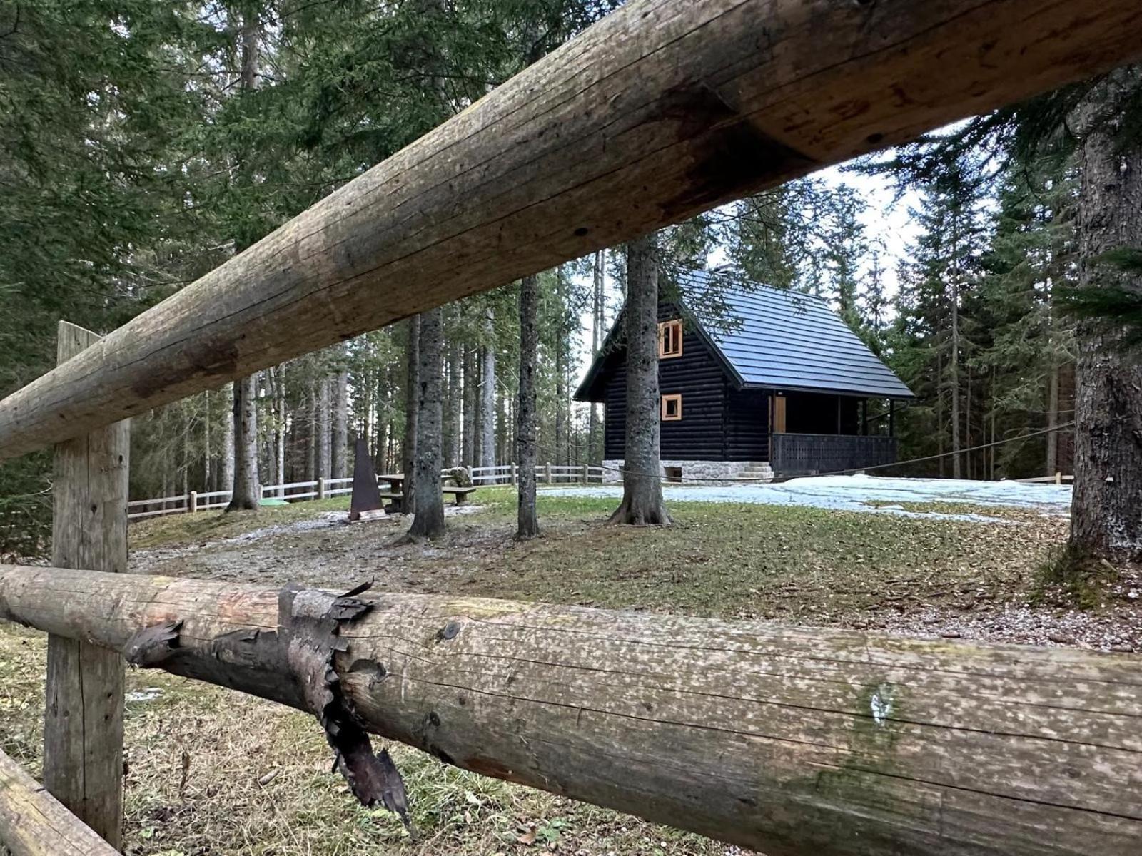 Cosy Lodge Pokljuka Горельек Экстерьер фото
