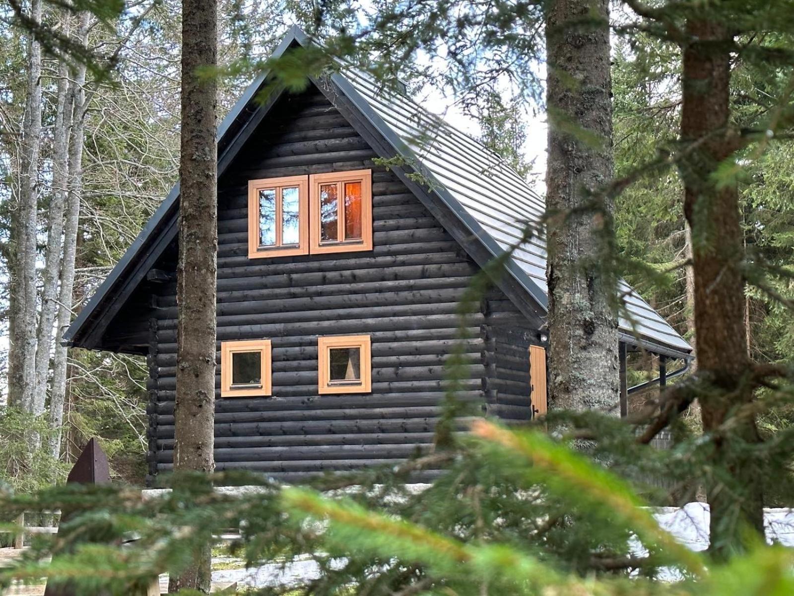 Cosy Lodge Pokljuka Горельек Экстерьер фото