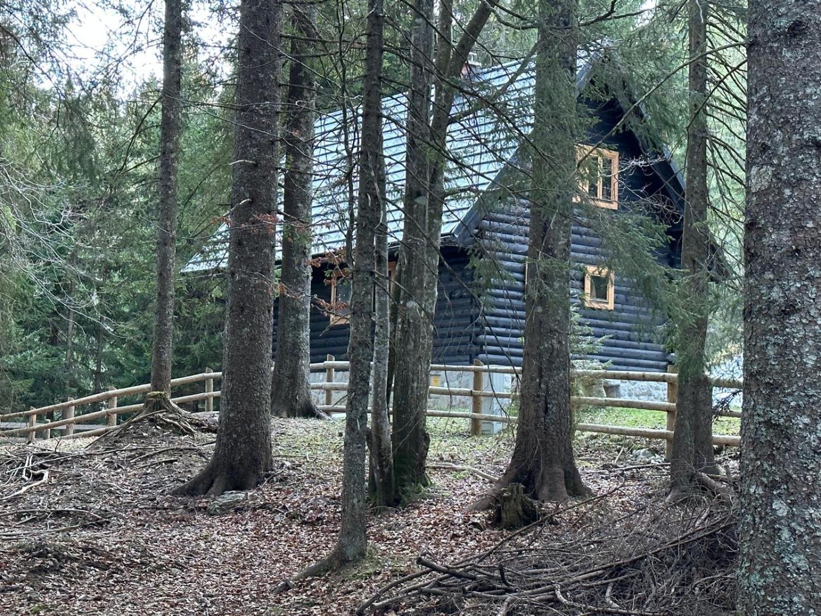 Cosy Lodge Pokljuka Горельек Экстерьер фото