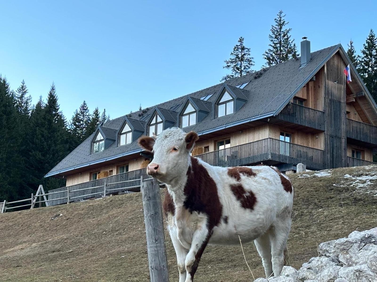 Cosy Lodge Pokljuka Горельек Экстерьер фото