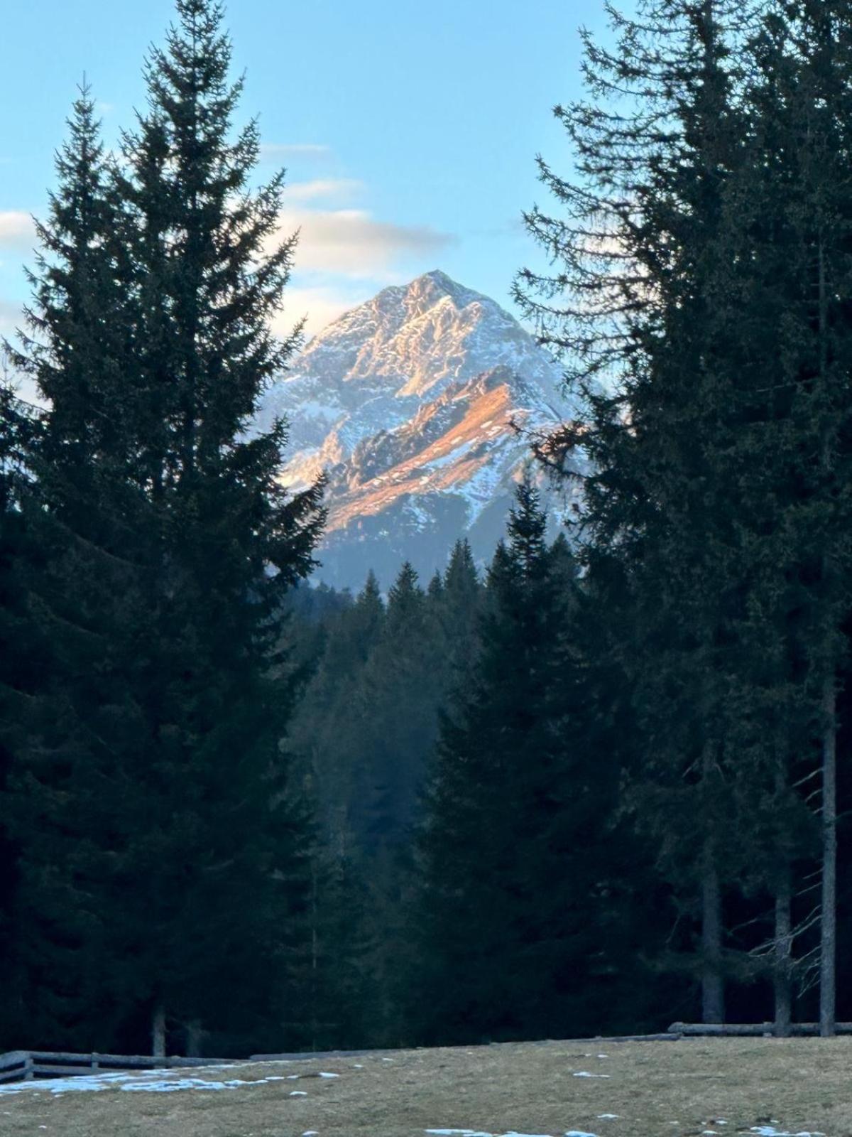 Cosy Lodge Pokljuka Горельек Экстерьер фото