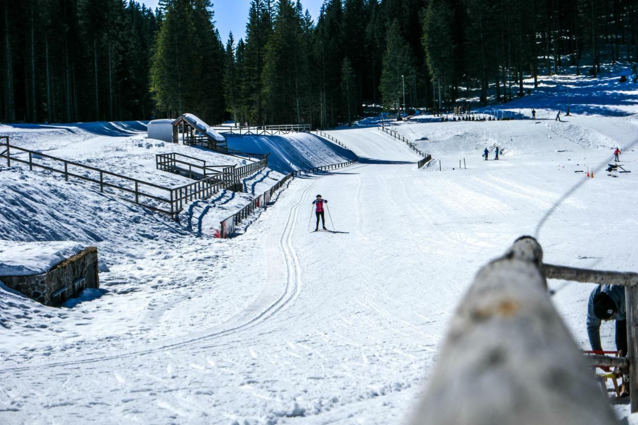 Cosy Lodge Pokljuka Горельек Экстерьер фото