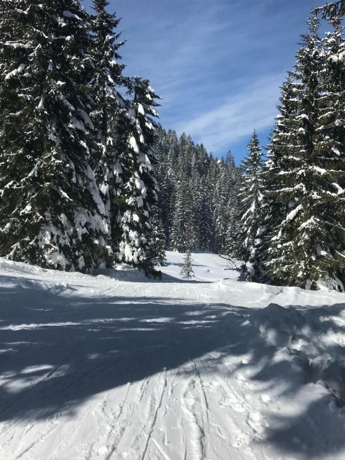 Cosy Lodge Pokljuka Горельек Экстерьер фото