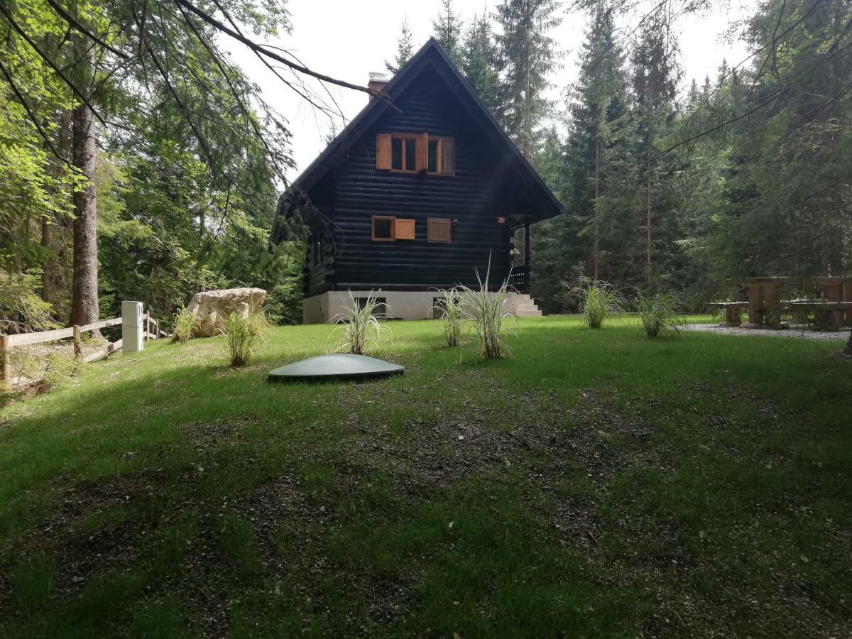 Cosy Lodge Pokljuka Горельек Экстерьер фото